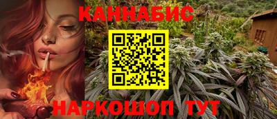 apvp Аргун