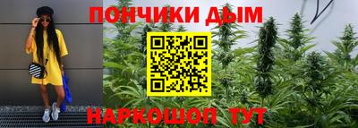 сатива Апшеронск