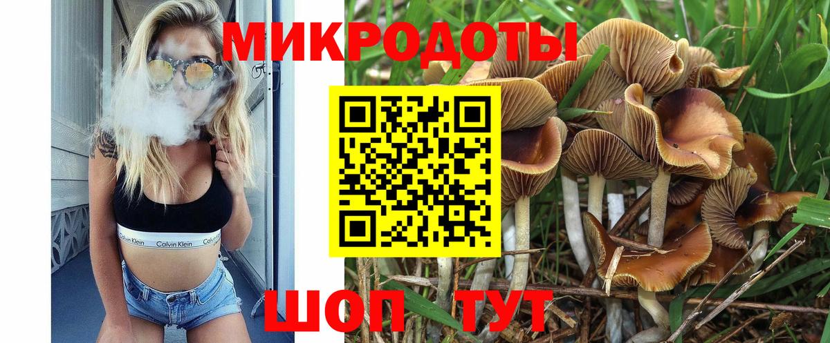 Псилоцибиновые грибы ЛСД Будённовск